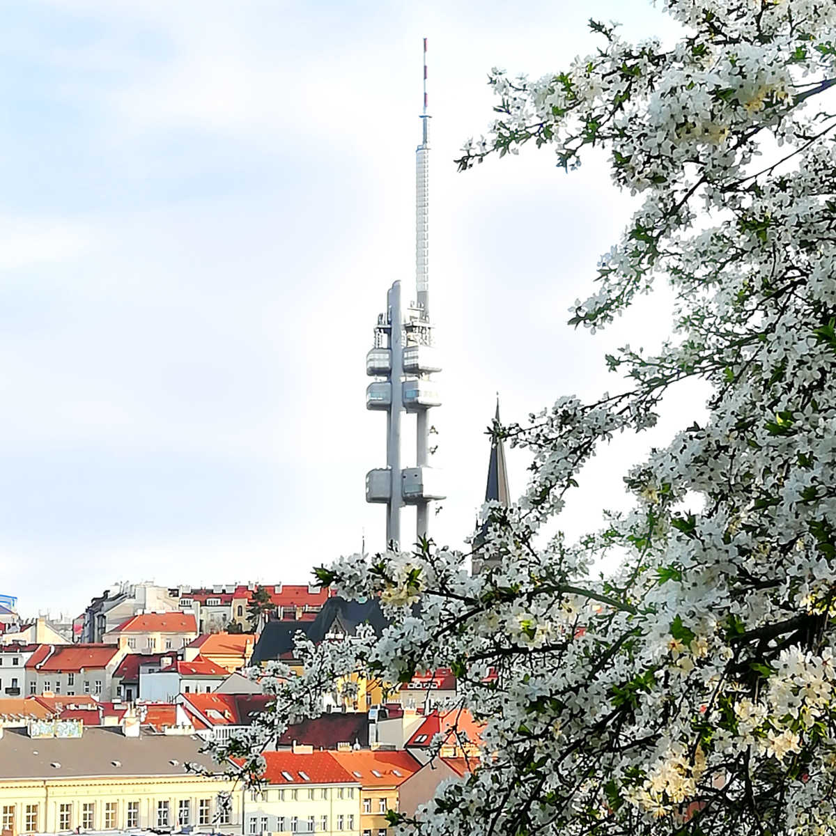 visit prague in march