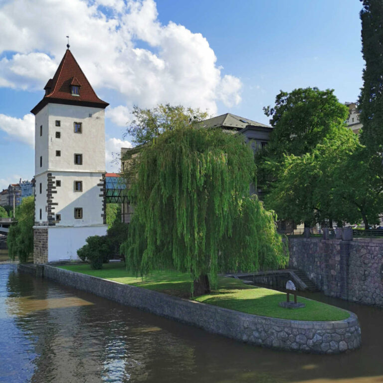 Nutria in Prague: The Adorable River Rats You Shouldn’t Feed (2026 ...