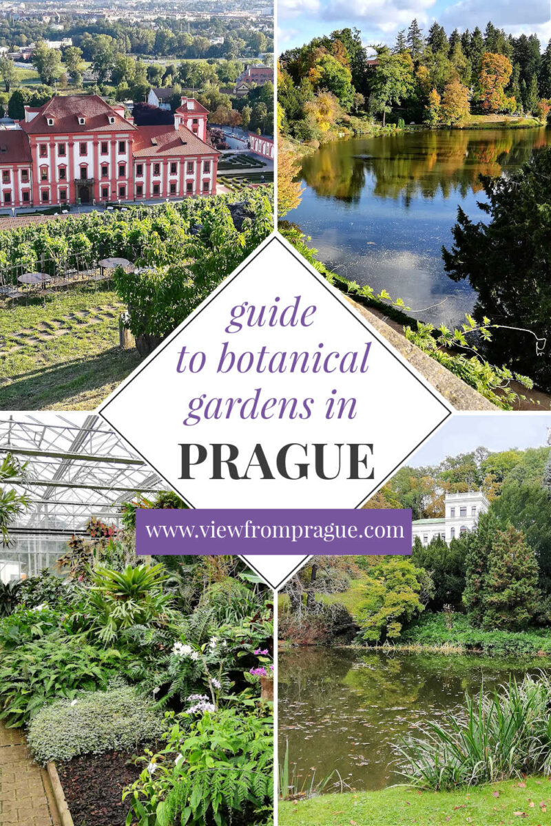 My complete guide to Prague’s 4 Botanical Gardens - Opening Times ...