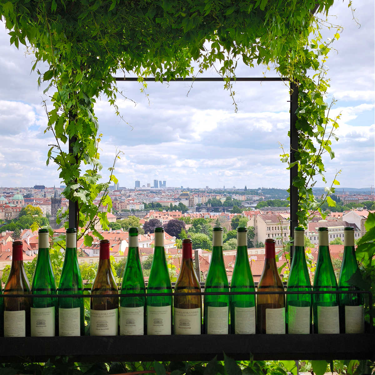 best-vineyards-in-prague-to-taste-locally-produced-wine-view-from-prague